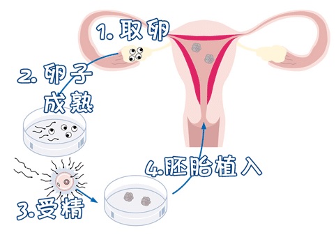 陈医生